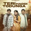 About Teri Haddi Todunga Song